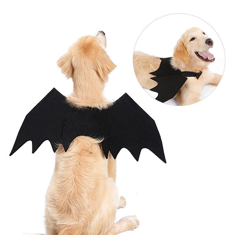 Bat Wings Costume For Pet - Puppeeland