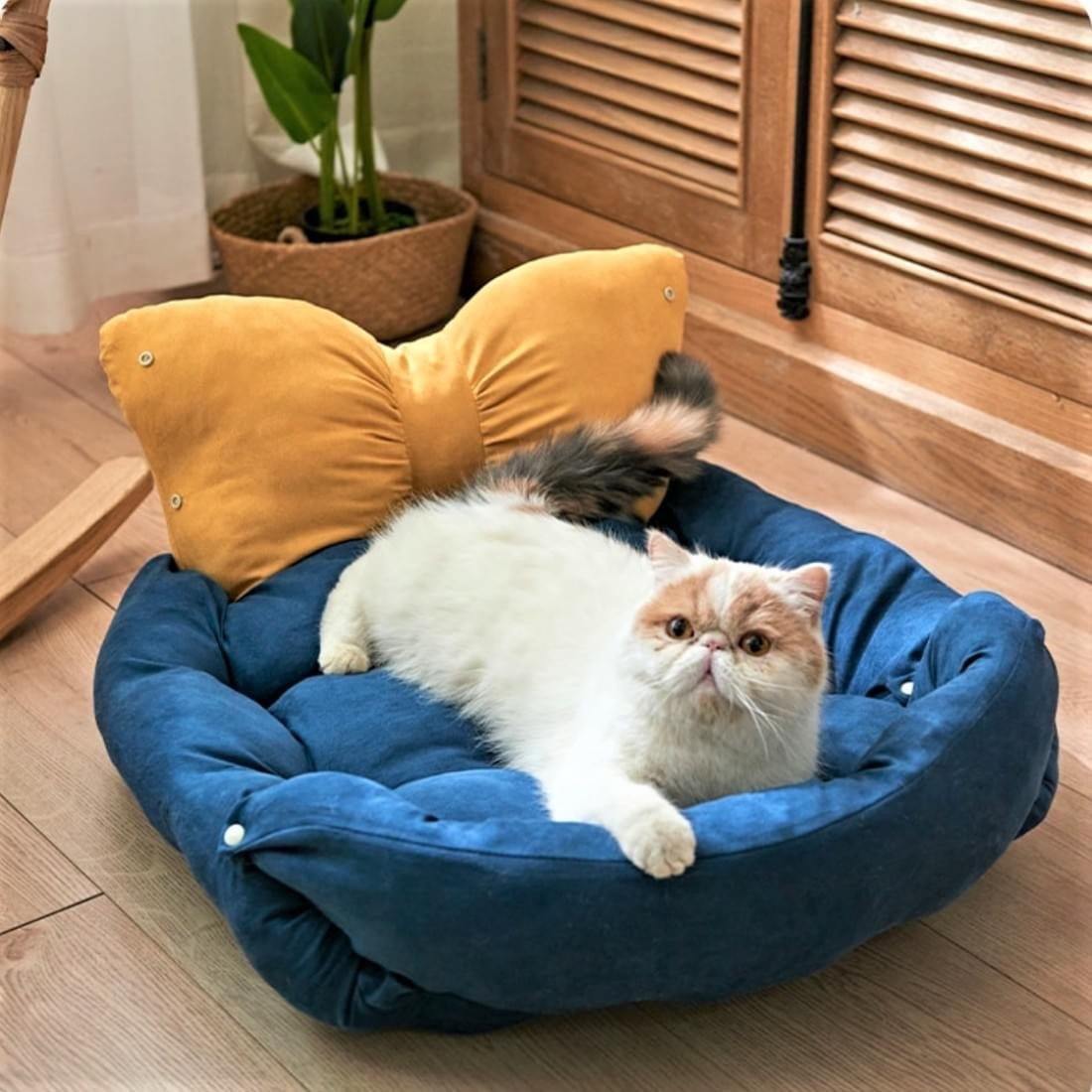 Bow Design Bed For Pet - Puppeeland