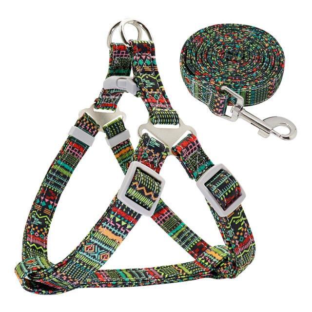 Colorful Dog Harness and Leash - Puppeeland