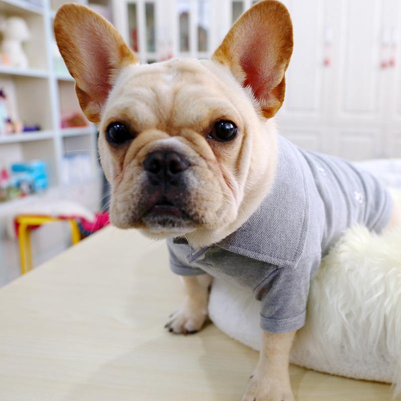 Funny Polo T-Shirt For Pet - Puppeeland