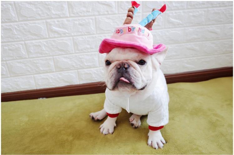 Plush Birthday Hat - Puppeeland