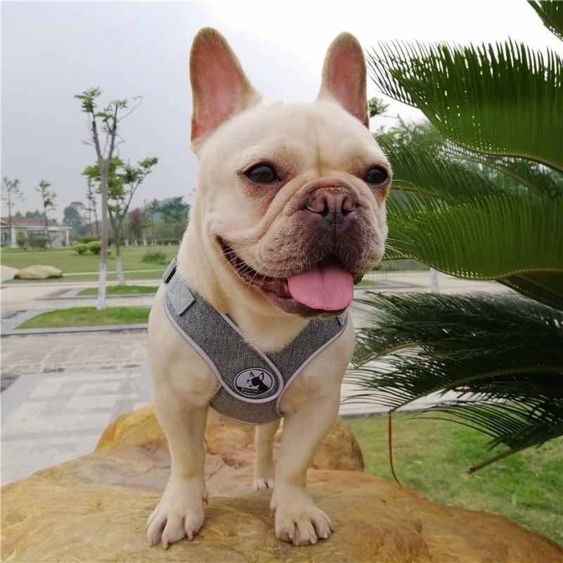 Reflective No Pull Dog Harness - Puppeeland