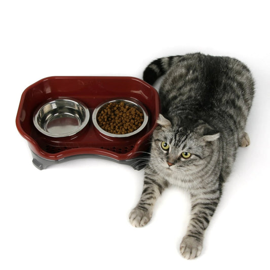 Spill Proof Double Layer Elevated Pet Bowl - Puppeeland