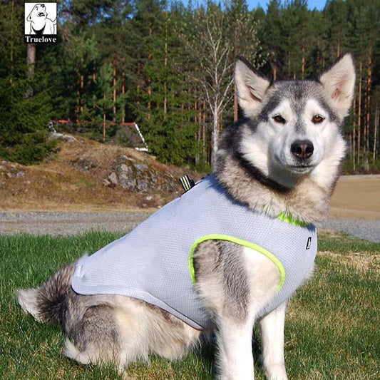 Summer Dog Cooling Vest - Puppeeland