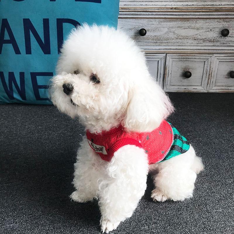 Summer Watermelon Pet Vest - Puppeeland