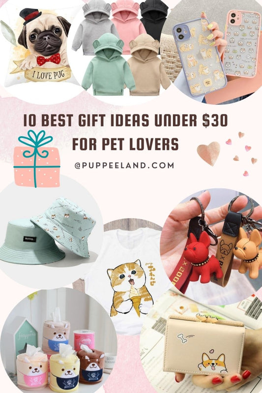 10 Best Gift Ideas under $30 for Pet Lovers - Puppeeland