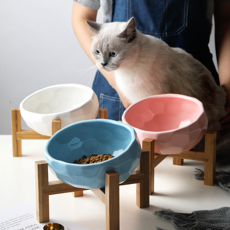 Elevated Tilted Pet Bowl