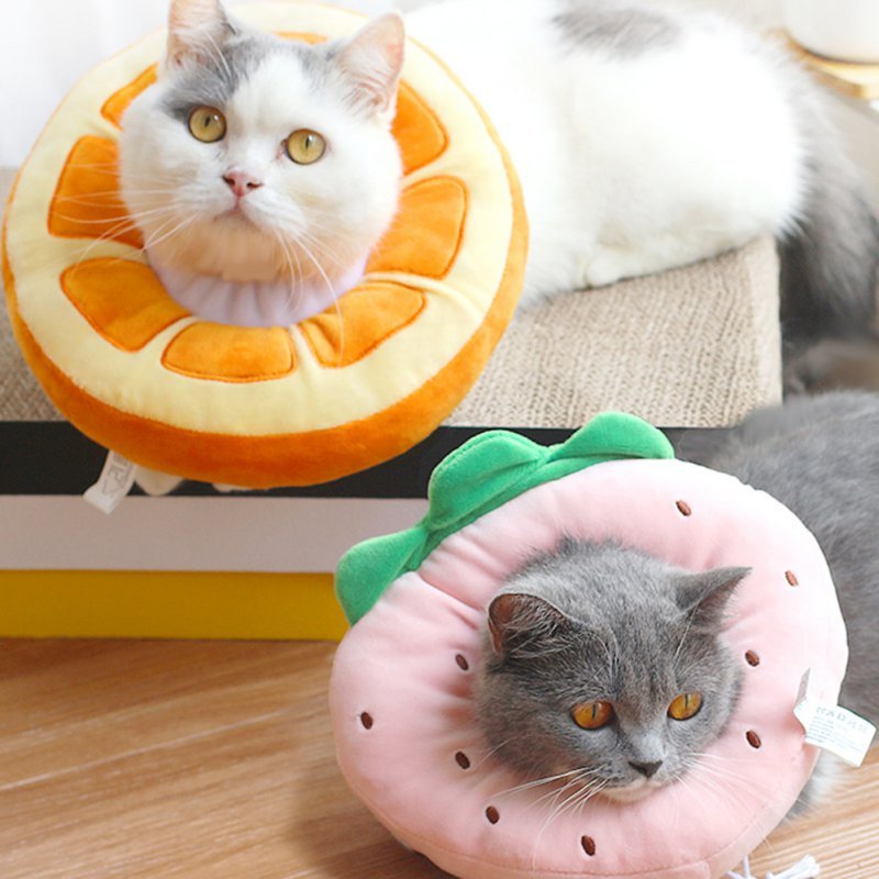 Pet Fruit Recovery Collar
