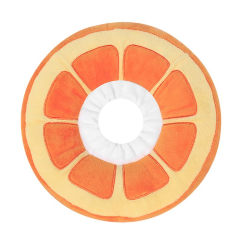 Pet Fruit Recovery Collar