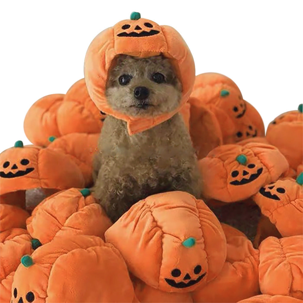 Pumpkin Pet Hat
