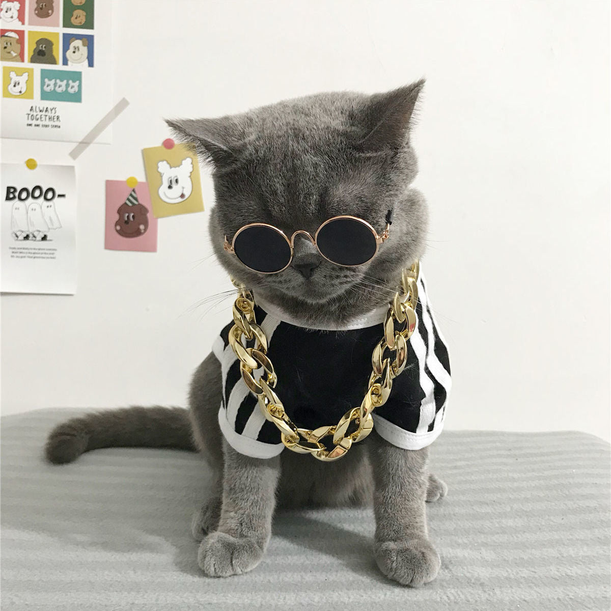 Big Gold Chain Pet Necklace