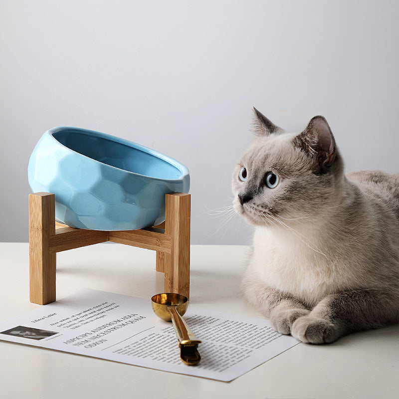 Elevated Tilted Pet Bowl