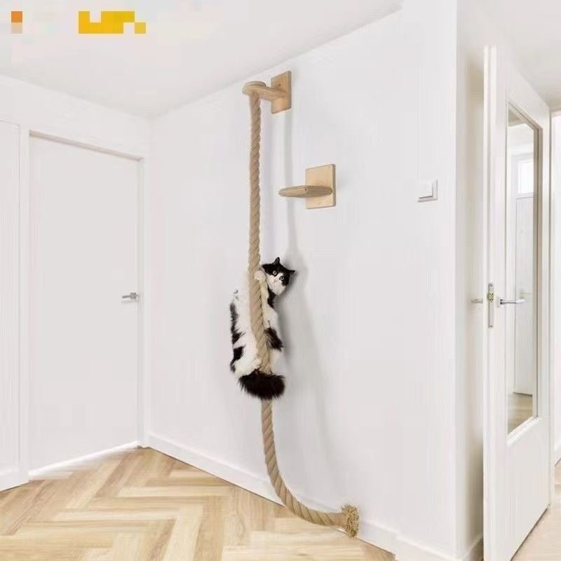 Wall-Mounted Cat Climbing Rope