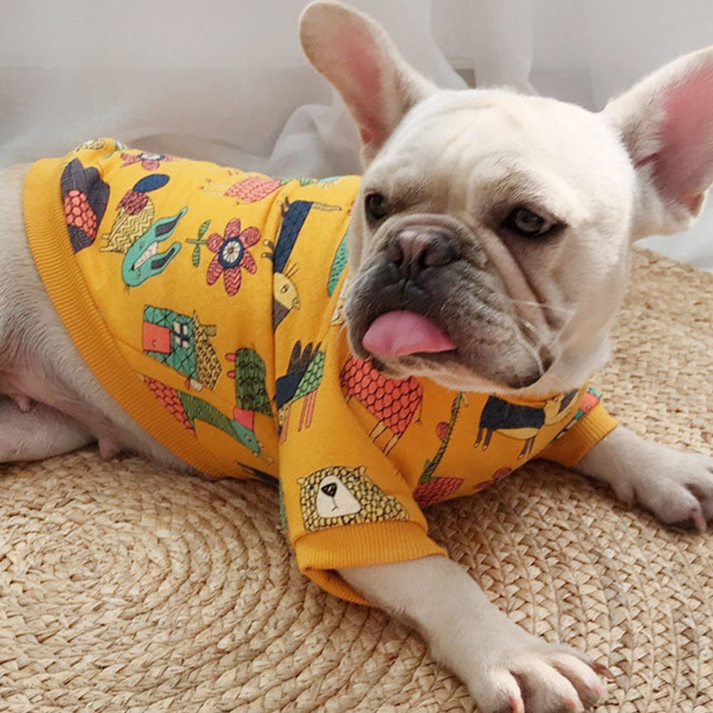 Stilvolle passende Kapuzenpullover für Hund und Besitzer