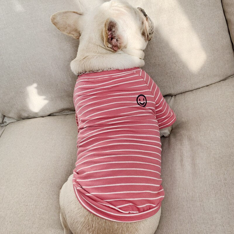Klassisches, gestreiftes passendes T-Shirt für Hund und Besitzer