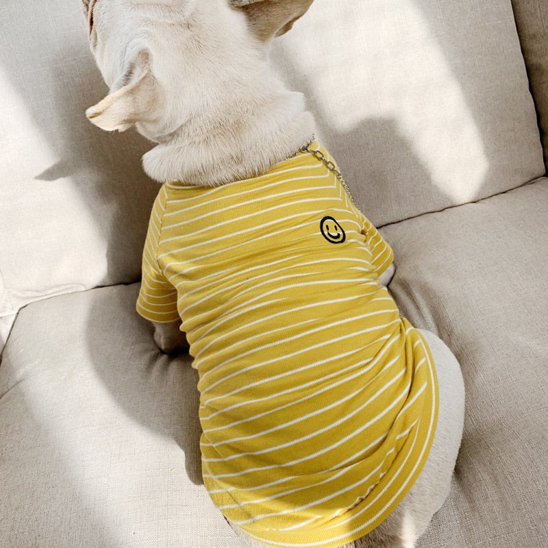 Klassisches, gestreiftes passendes T-Shirt für Hund und Besitzer