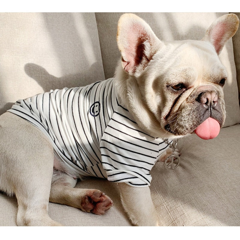 T-shirt assorti classique à rayures pour chien et propriétaire