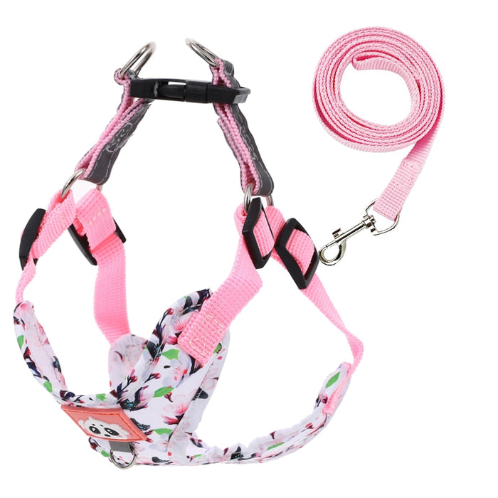 Stylish Pet Walking Harness