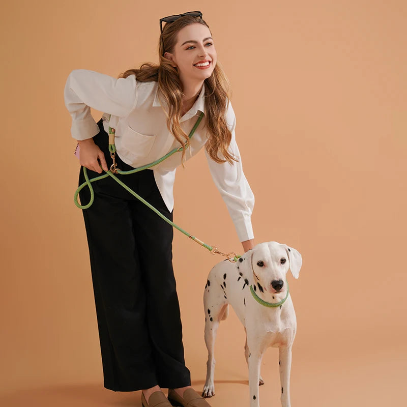 Hands-free Dogs Lead Leash