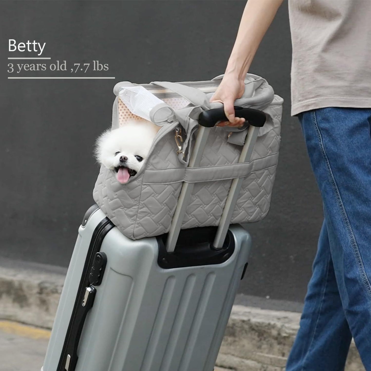 Breathable Travel Tote Pet Carrier