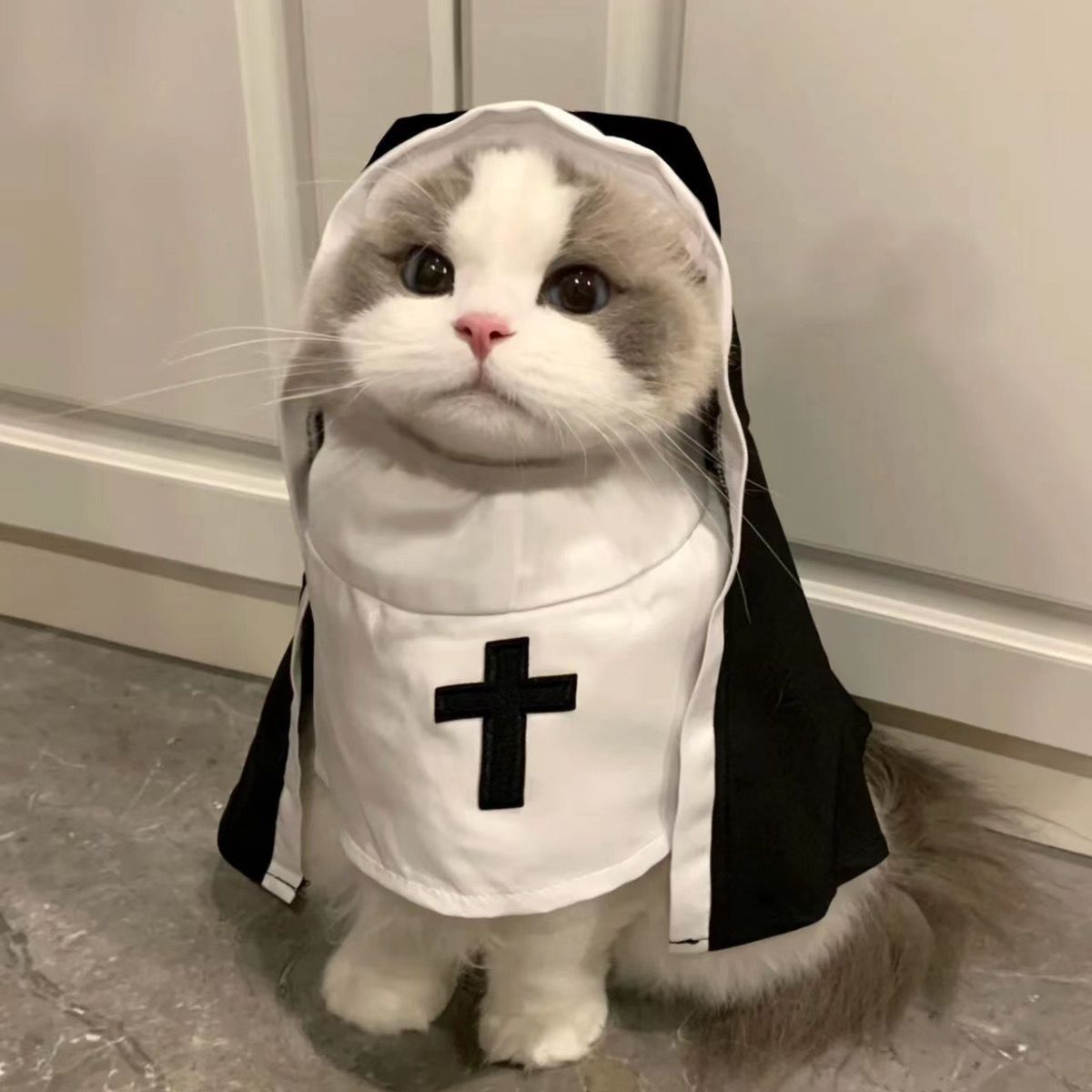 Nun Pet Costume