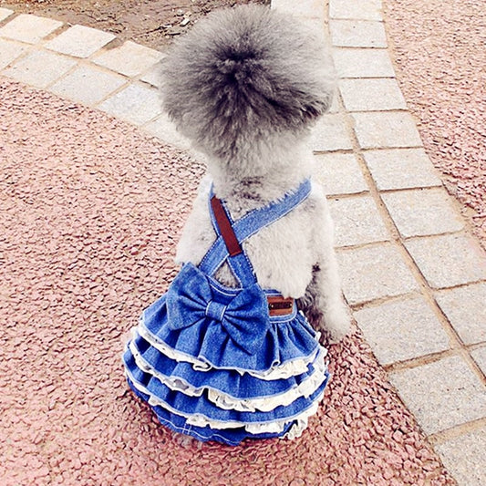 Pet Dress With Lace