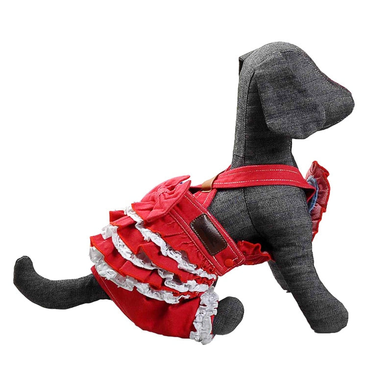 Pet Dress With Lace