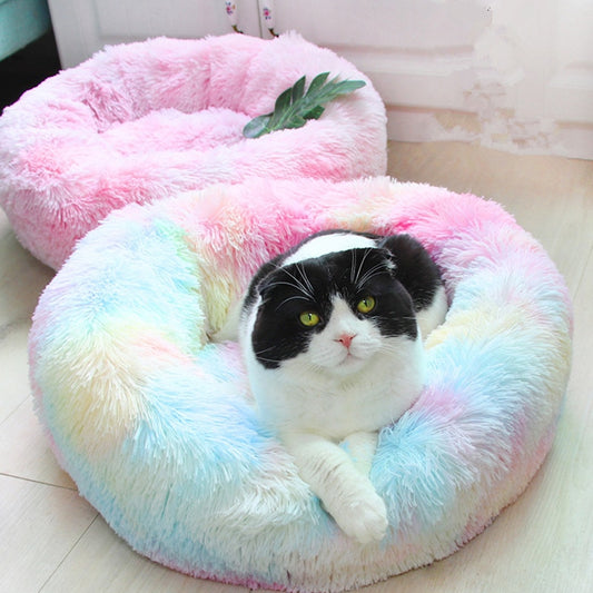 Regenbogen-Tiefschlaf-Katzenbett