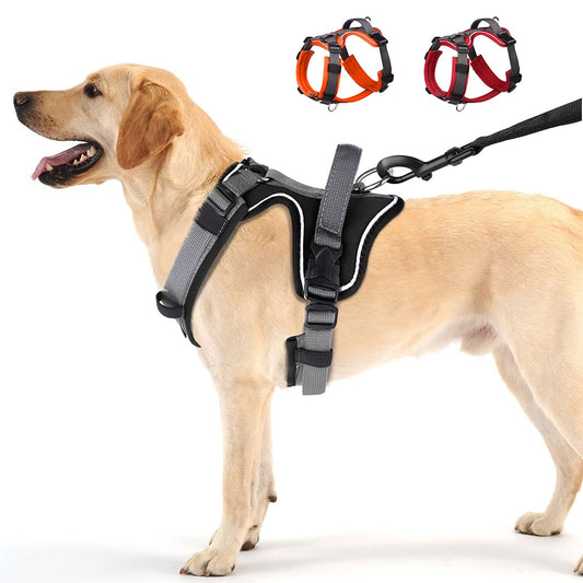 Gilet harnais réglable pour chien avec poignée