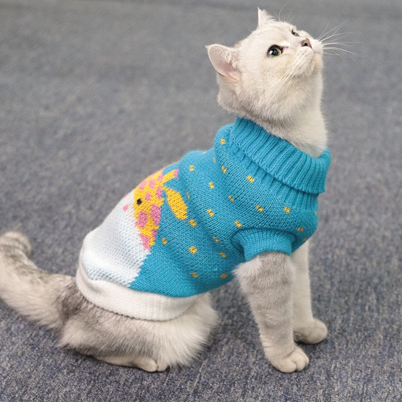 Knitted Kitten Sweater