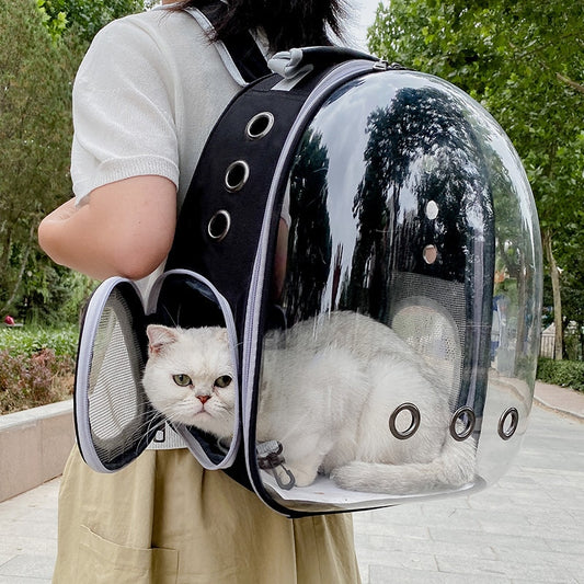 Sac à dos de transport de chat transparent