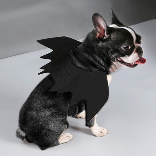 Bat Wings Costume For Pet - Puppeeland