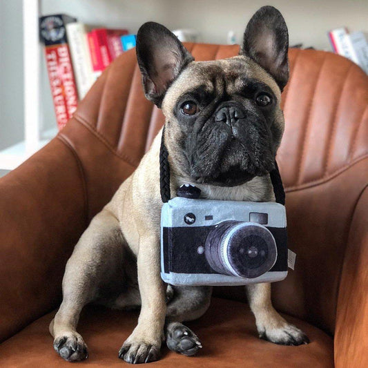 Camera Plush Toy for Pets - Puppeeland