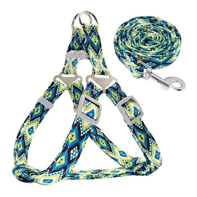 Colorful Dog Harness and Leash - Puppeeland