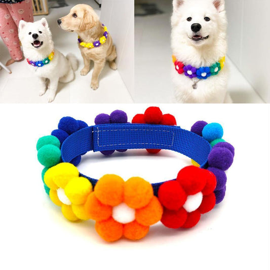 Colorful Flower Collar For Pet - Puppeeland