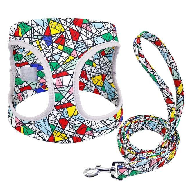 Colorful Pattern Dog Harness with Leash - Puppeeland
