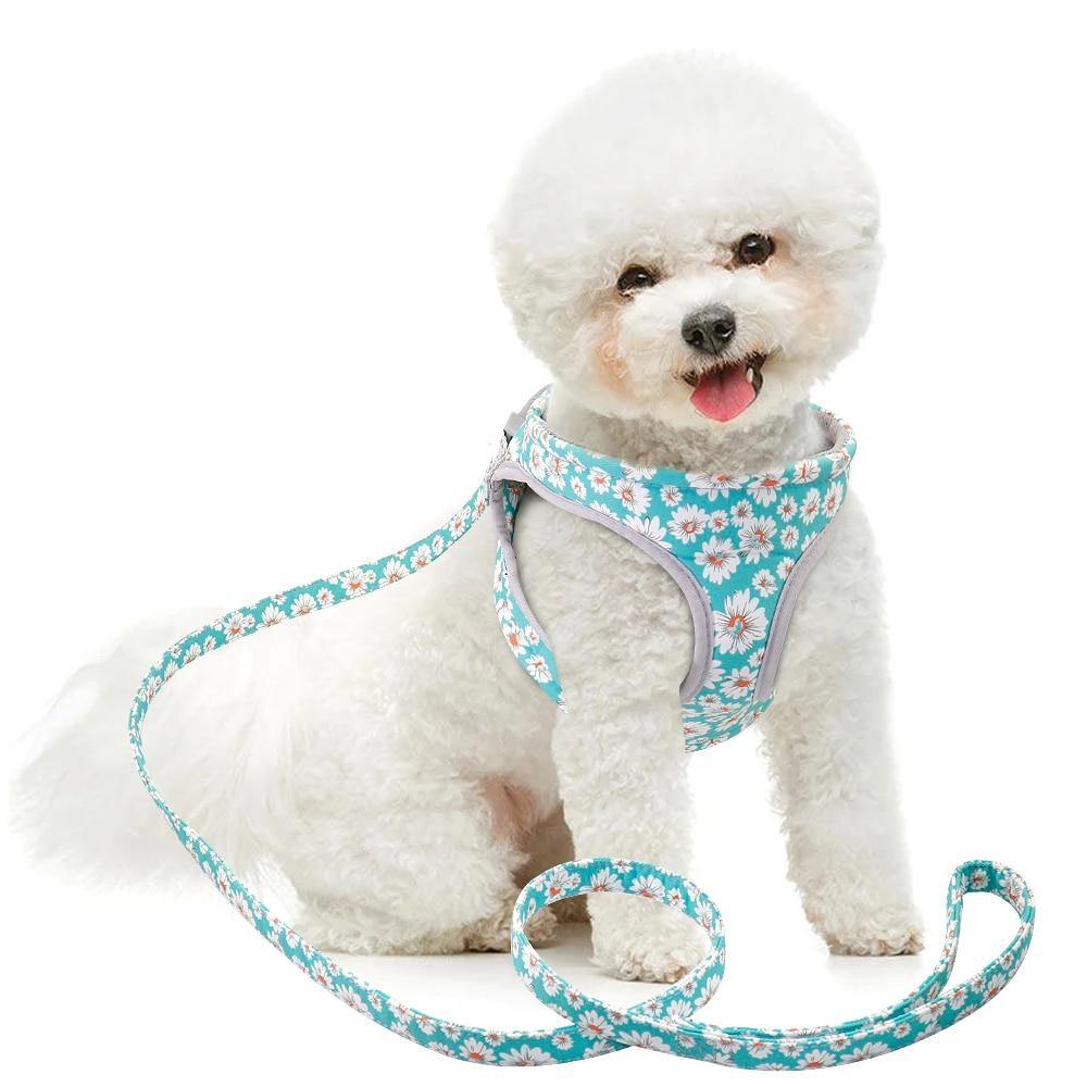 Colorful Pattern Dog Harness with Leash - Puppeeland