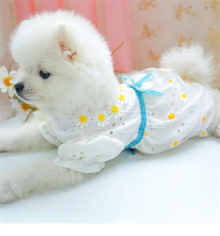 Daisy Summer Dress for Pets - Puppeeland