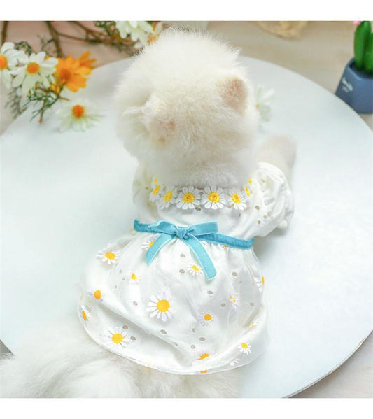 Daisy Summer Dress for Pets - Puppeeland