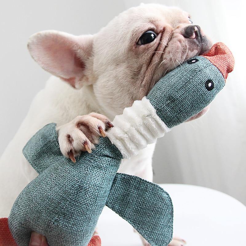 Dog Chew Squeak Toy - Puppeeland