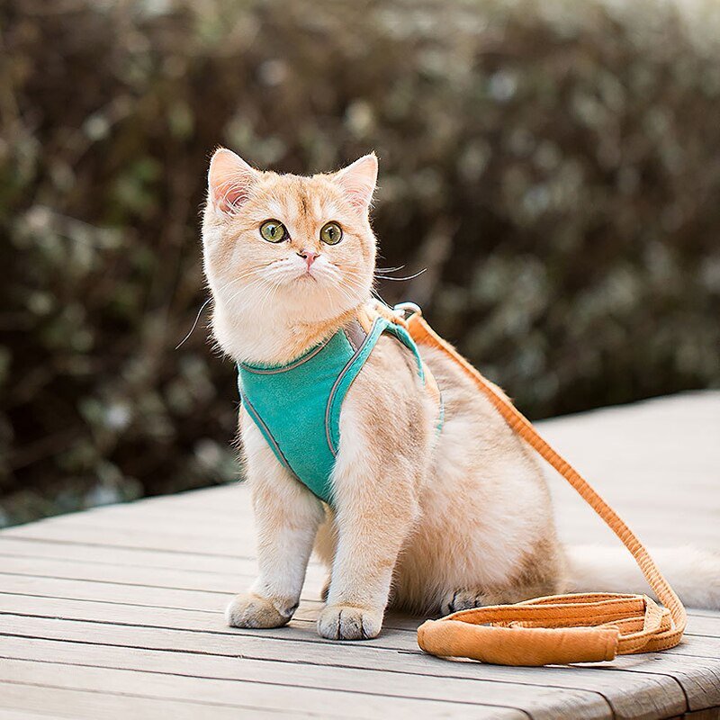 Dual Color Pet Harness and Leash Set - Puppeeland