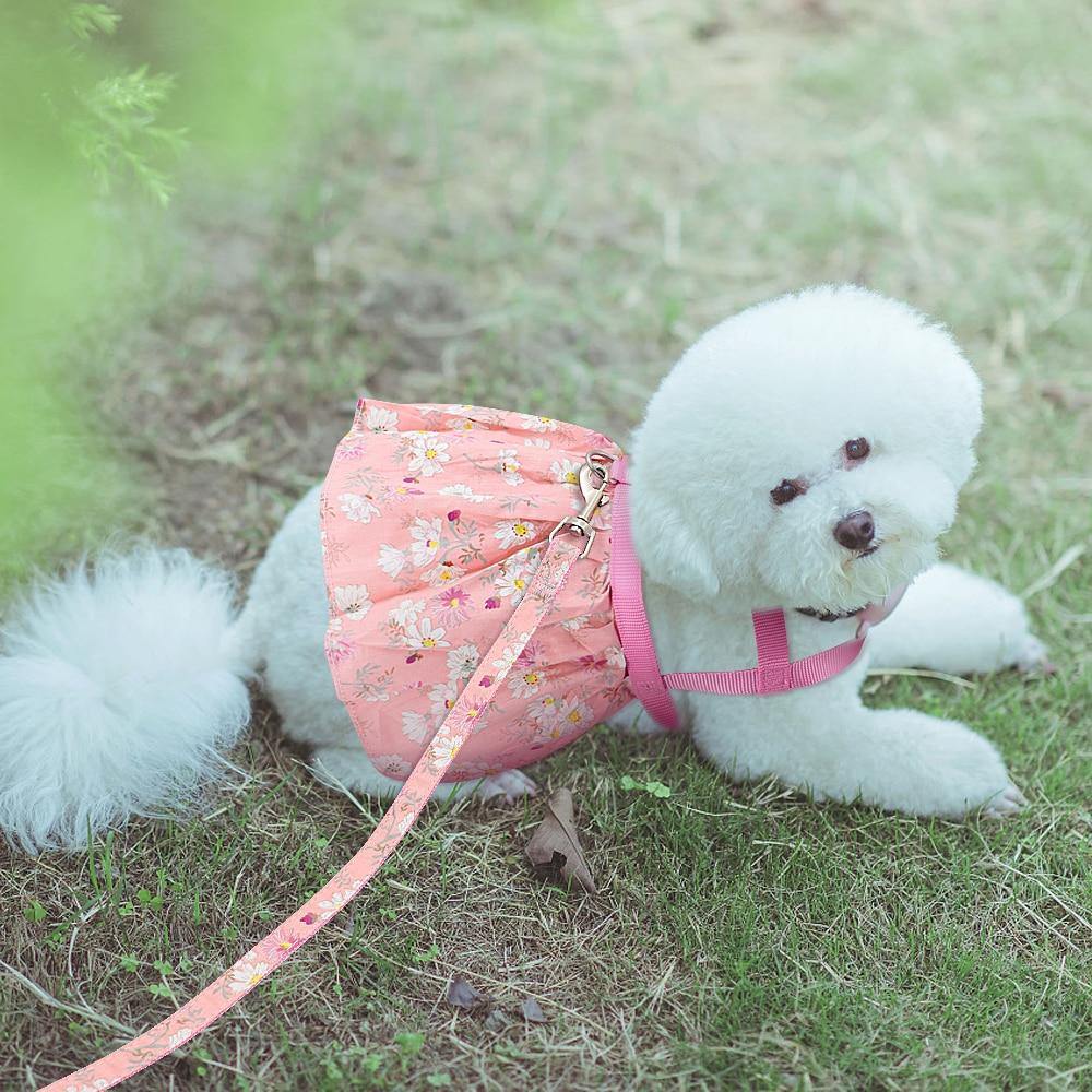 Floral Harness Dress with Leash - Puppeeland