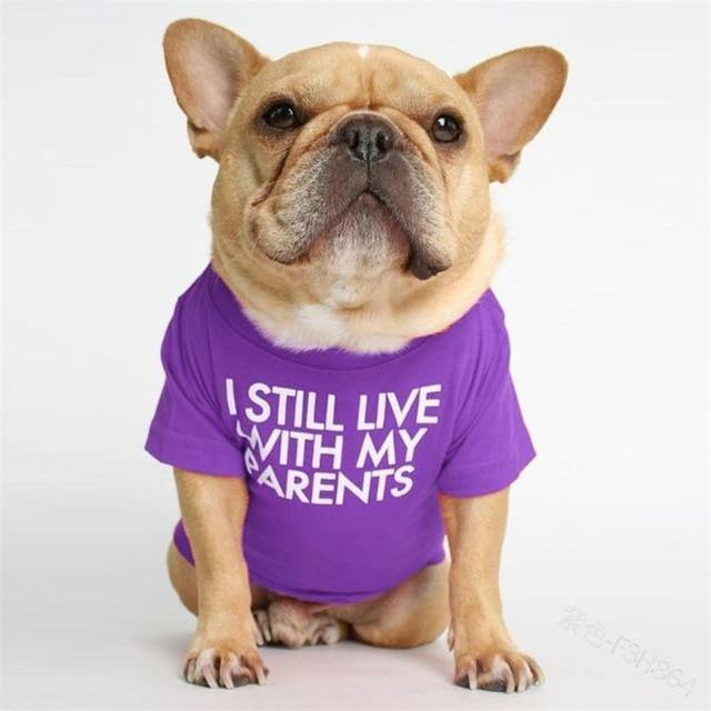 Funny T-Shirt For Pet - Puppeeland
