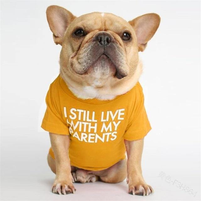 Funny T-Shirt For Pet - Puppeeland