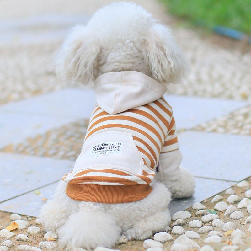 Matching dog and owner long sleeve striped sweatshirt - Puppeeland