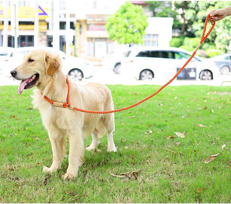 Nautical Dog Rope Leash - Puppeeland