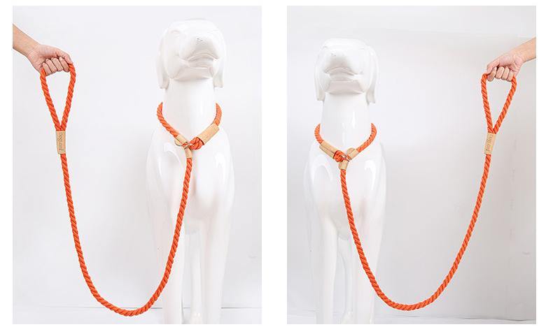Nautical Dog Rope Leash - Puppeeland