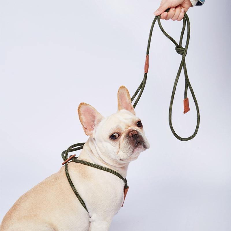 Nylon Dog Rope Leash - Puppeeland