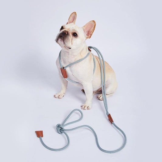 Nylon Dog Rope Leash - Puppeeland