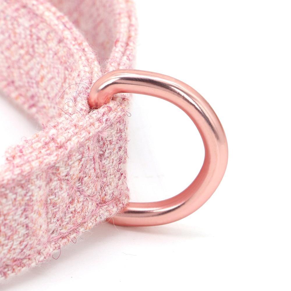 Personalized Rose Gold Pet Collar Leash - Puppeeland